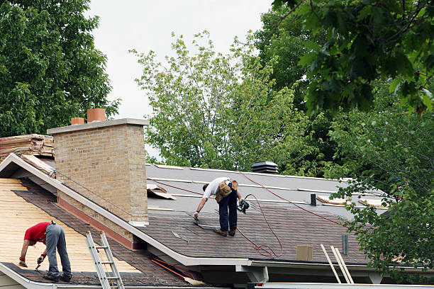 Best Roof Gutter Cleaning  in Montezuma, IA